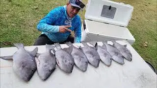 Miami Freediving Spearfishing, Pesca Sub Marina!!!