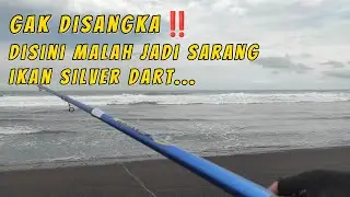 LUMAYAN DAH, FULL STRIKE IKAN SILVER DART ☺️ || Mancing Pasiran || BangJoMancing