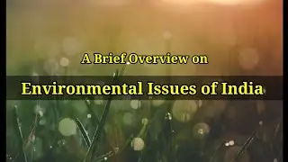 A Brief Overview on Environmental Issues of India