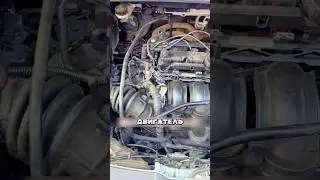 Об этом не скажут ни в одном автосервисе!