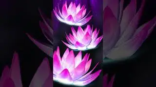 Dark classic purple pink lotus
