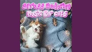Grooming Music