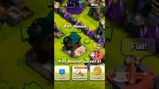 Using Hammer to Unlock Electro Owl in Pet House