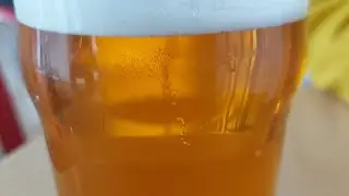 Live Wraggys Taproom & Silver Ghost Wines Review Chat