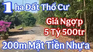 Bán Đất Mẫu  Khu Dân Cư - Thổ Cư - Xuyên Mộc - Vũng Tàu Giá Rẻ