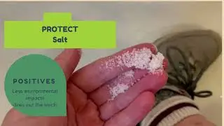 How to protect yourself from leeches