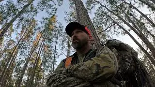 Green Swamp 12-4-24