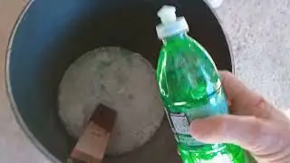 HOW TO KILL FLEAS,,, TESTED AND APPROVED...