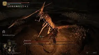 Elden Ring Kindred of Rot Boss Fight
