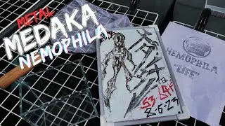 【MEDAKA】Best Green Water, Mosquito Larvae Eliminator, Ramshorn Snail Water Parameter Indicator【メダカ】