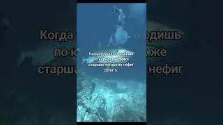 🔥 Этот мем взорвал интернет! 😂 Посмотри до конца! #memes