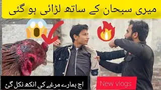 اج میری سبحان کے ساتھ لڑائی ہو گئی اور ہمارے مرغے کی انکھ نکل گئی #murga #petvlog #fighting 
