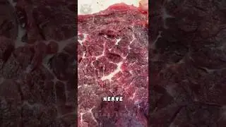 Почему свежее мясо все еще перевозится?