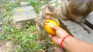 When Mommy Joyce Didn&rsquo;t Share Milk and  Food to her baby Jacee 💔 I Tried to Feed Her Safely