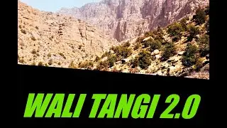 WALI TANGI 2.0