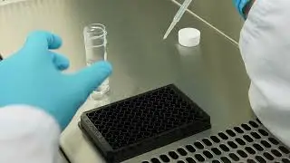 Implementing AlphaLISA™ SureFire® Ultra™ Technology