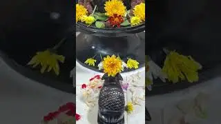 Saturday Darshan #mahadev #shivshankar #ashutosh #shiv #bholebaba