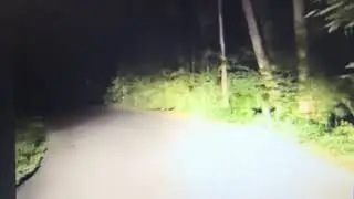 Scary Road #scaryroad