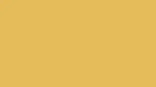 Sun Kissed Gold Color Screen &ndash; 8 Hours | Full Screen Screensaver | No Sound