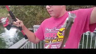 Catching black crappie and green sunfish 
