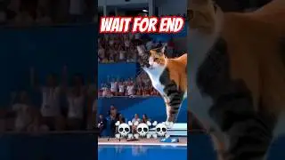 #tralalerotralala #viralvideo #trending #shortvideo #sad-video #cat-aura #funny #sigma #cst-funny