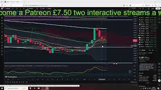 Crypto Bull Market Still Playing Out
