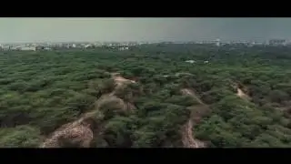 Delhi Ridge - the green lungs of Delhi || A short feature