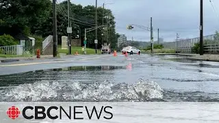 Heavy rainfall warnings in effect in parts of Nova Scotia, New Brunswick