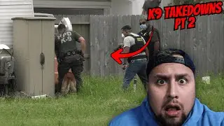 K9s Most INTENSE Takedowns PT 2
