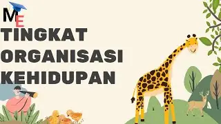 Tingkat Organisasi Kehidupan | Biologi