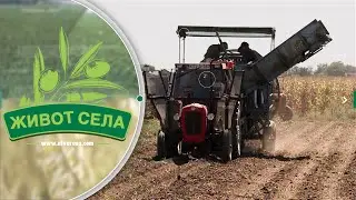 U Kojčinovcu trajala borba za povratak vode na njive; Naporan rad nagradili dobri rezultati