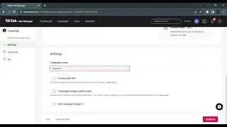 How to Run TikTok Traffic Compaign Effectively | Byte Flow