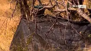 Digi Animal World HD Hungary FTA Testing 07-02-13 hd1080