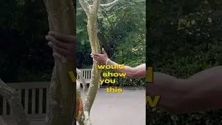 tree hugging to feel closer to creation 🤗
