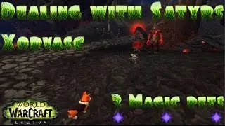 Xorvasc 3 Magic Pets | Family Familiar | Master of Magic | Legion Achievement