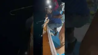 big size grouper catch in karamat