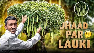 Yeh Kya Dekh Liya Upar? 😍😱vlog || Aslam l2 vlogs || 