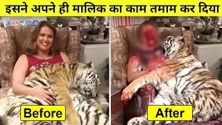 Top 10 Pet Animals Who Eat Their owners | Animals attacks their own owners