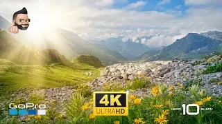Malga Meleit 10 07 2022