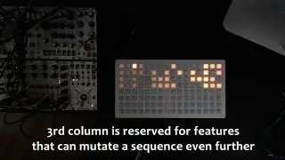 orca - rotate sequencers | mutate sequencer | global reset