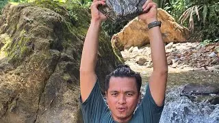 ASMR...✅️ Traditional gold mining #armangoldhunting 