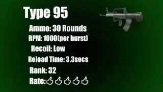 Type 95 Weapon Review