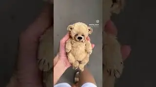 Малыш мишка #cute #bear #teddy #ooak