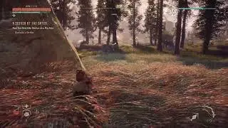 How to override a strider in Horizon