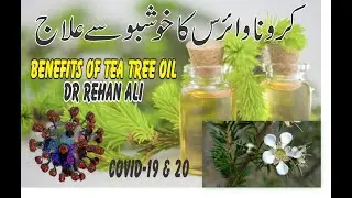 Amazing Tea Tree Oil Benefits | hindi/urdu | Dr. Rehan Ali