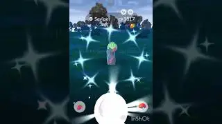 Shiny seviper In pokemon go!!! #pokemon #pokemongo #shinypokemon #shinyhunting