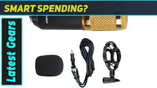 BM800 Condenser Mic: Best Budget Studio Sound?
