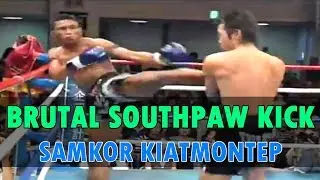 Samkor's Brutal Left Kick | Muay Thai Mastery