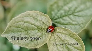 5090/61/M/J/2019