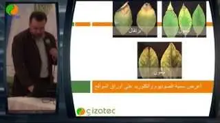 خصوبة الأراضي لمحصول الموالح. محاضرة محمد هلال بمهرجان الموالح.